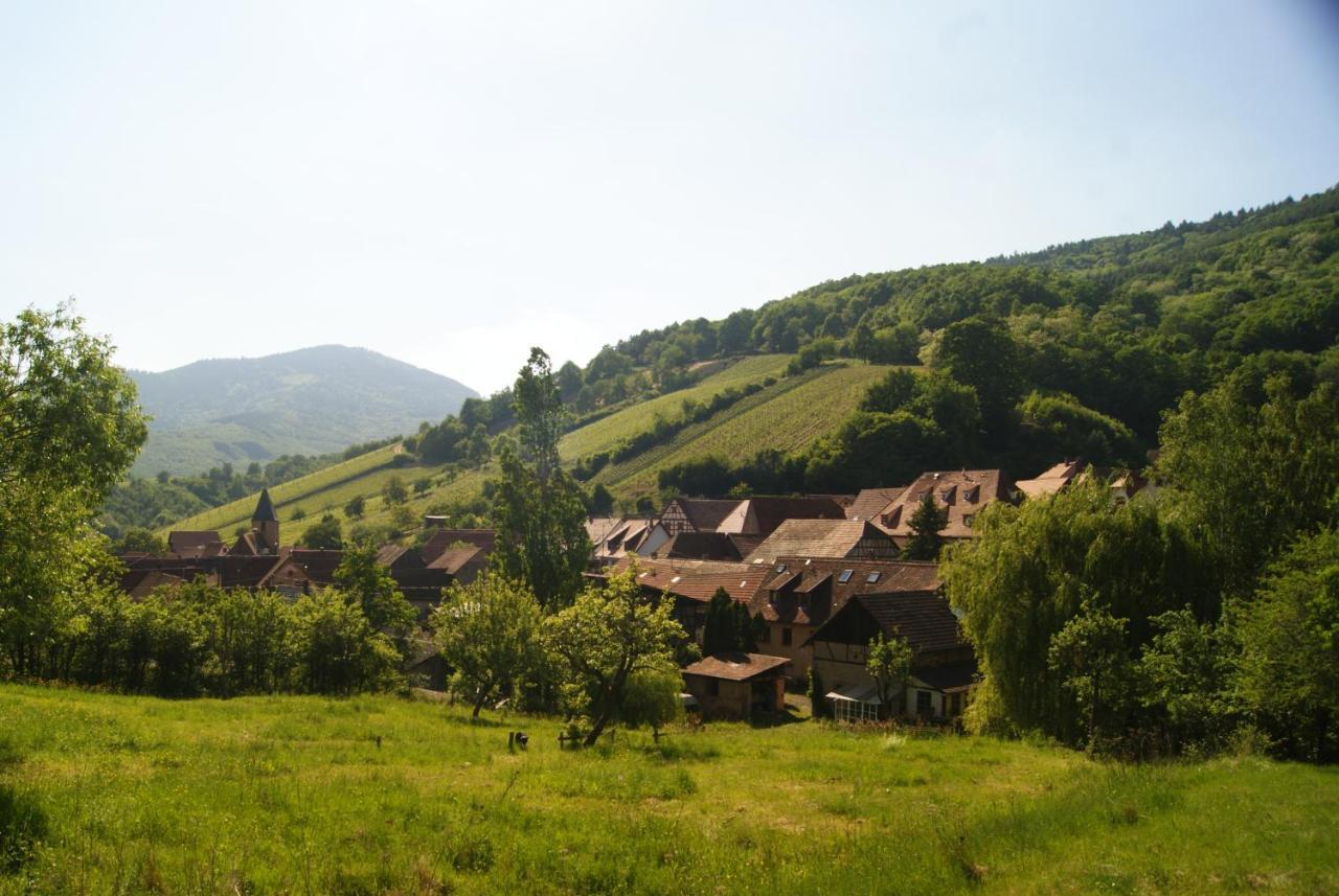 Gite Du Thalala Bernardvillé Exterior foto